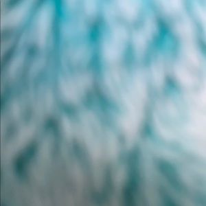 Meet your Posher, Lucy